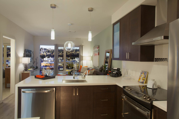 Vik Condo Kitchen towards living room