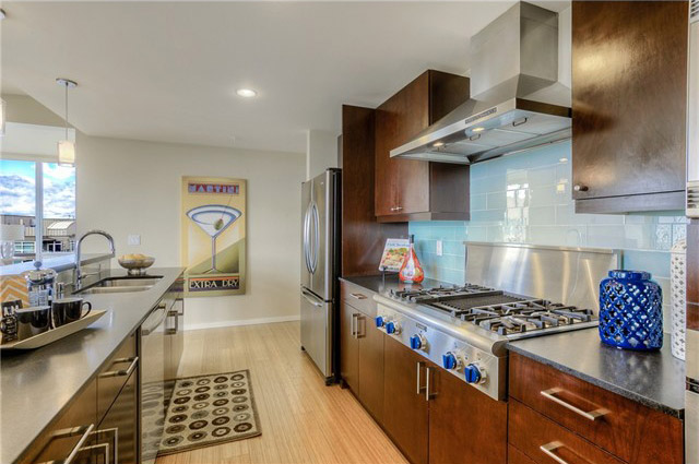 Parc Condo Penthouse Kitchen